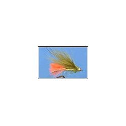 Olive With Hot Orange Tail Dawsons
