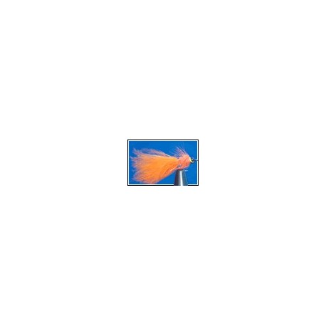 Orange Taddy