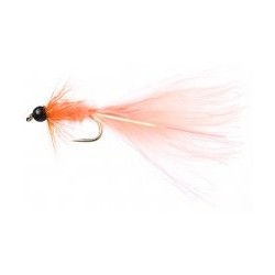Terry's Taddy Coral
