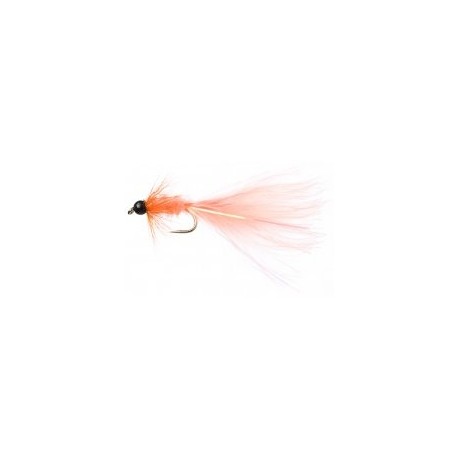 Terry's Taddy Coral