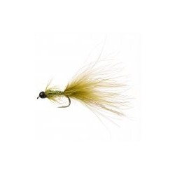 Terry's Taddy Damsel