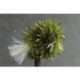 Blob Dark Olive Uv Tail