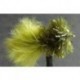 Blob Dark Olive