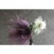 Booby Black Fritz White
