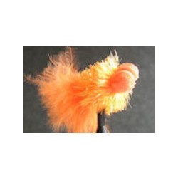 Booby Orange Fritz