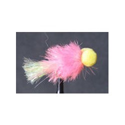 Booby Pink Sunburst