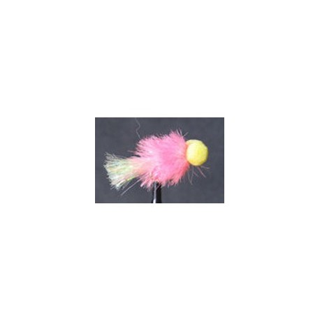 Booby Pink Sunburst