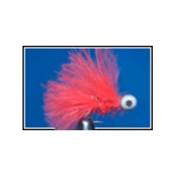 Cactus Booby Bristol Blood