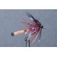 Claret Dabbler