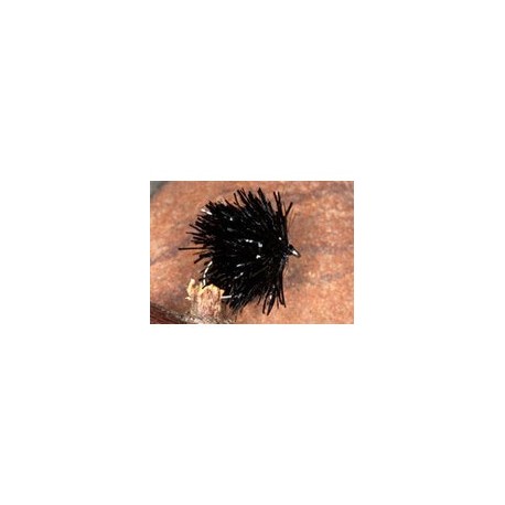 Fab Black