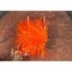 Fab Fluo Orange
