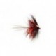 Bibio