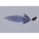 Cb Blue White Mini Wonk Rtl A