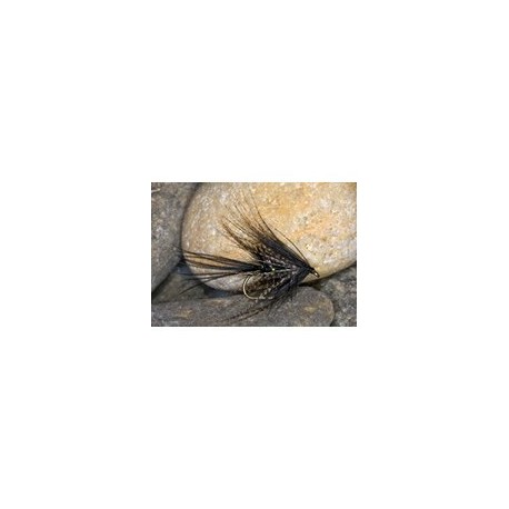 Black Dabbler