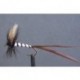 Black Spent Mayfly