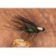 Black&peacockdabbler