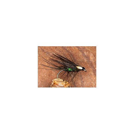 Black&peacockdabbler