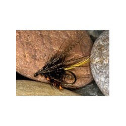 Boghill Dabbler