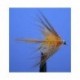 Cock Robin Dabbler