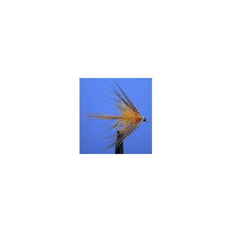Cock Robin Dabbler