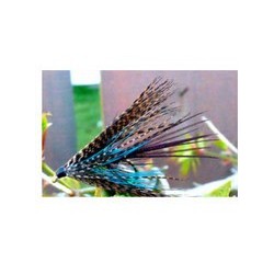 Connemar Dabbler
