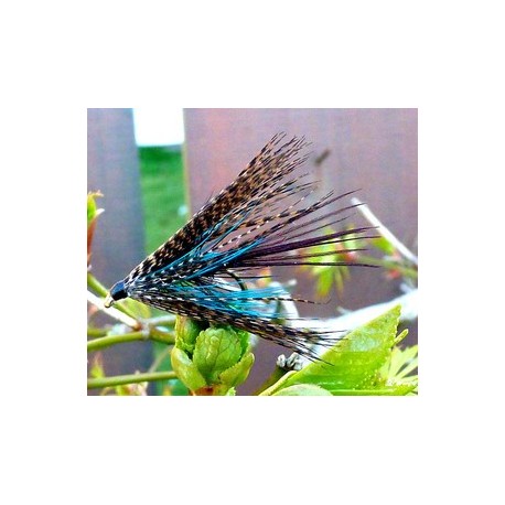 Connemara Dabbler