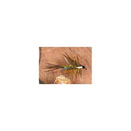 Dabbler Olive & Blue