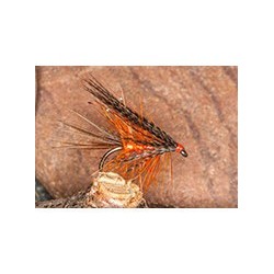 Default Dabbler Orange
