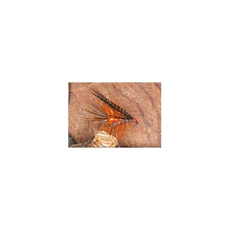 Default Dabbler Orange