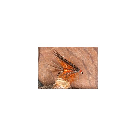 Defaultdabblerorange