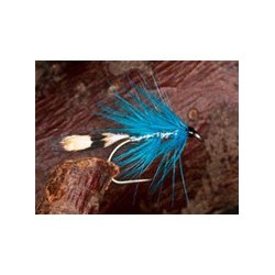 Delphi Blue