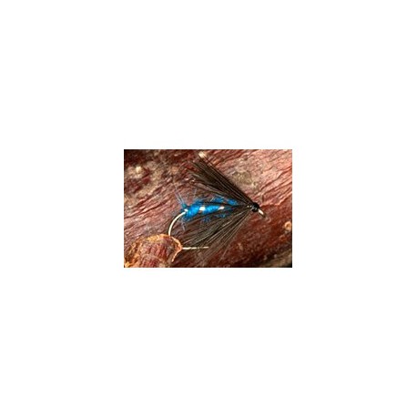 Donegal Blue
