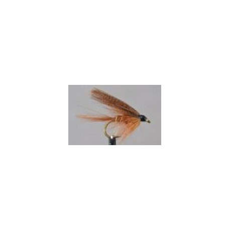 Fiery Brown Dabbler