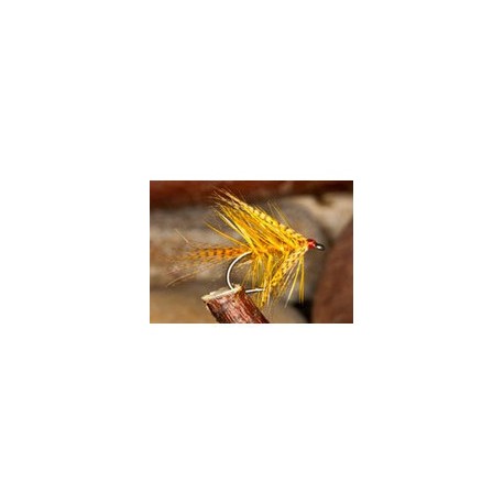 Golden Honey Dabbler