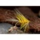 Golden Picric Dabbler