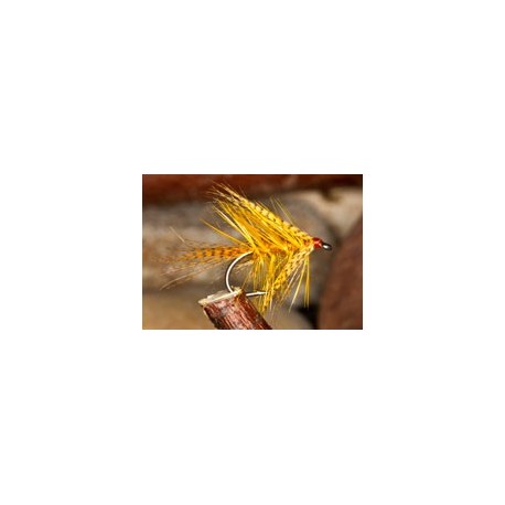 Golden Honey Dabbler
