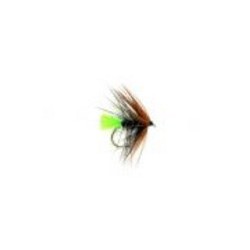 Green Tailed Kate