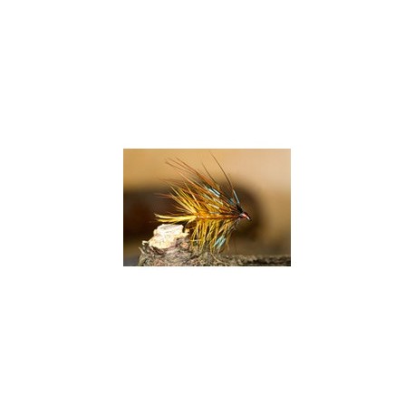 Leggy Golden Olive Bumble