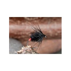 Machair Spider