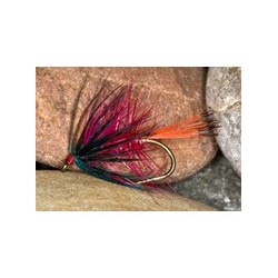 Magenta Bumble