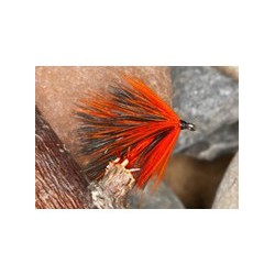 Orange Rory