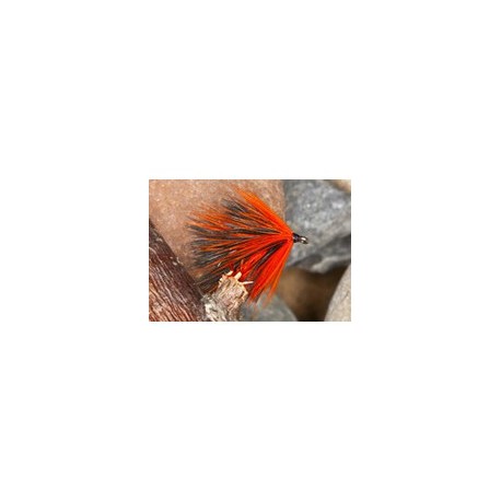 Orange Rory