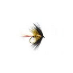 Pretender Golden Olive
