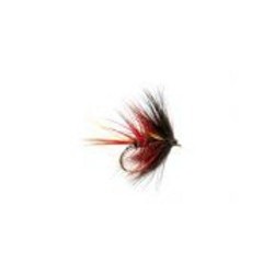 Pretender Red