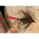 Red Tail Pennel