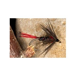 Red Tail Pennel