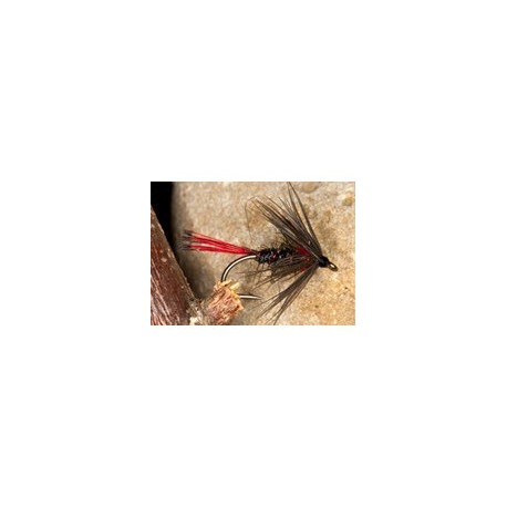 Red Tail Pennel