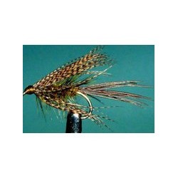 Sooty Olive Dabbler