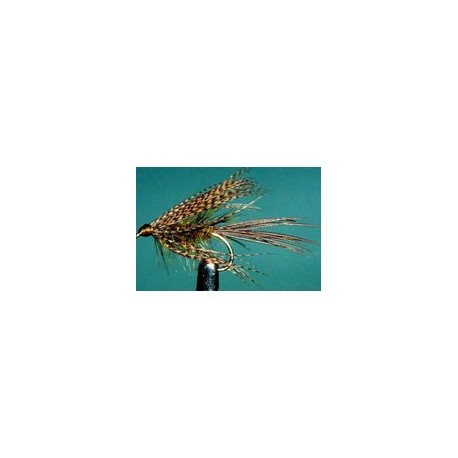 Sooty Olive Dabbler