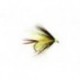 Straggler Sunburst Uv